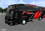 Mod Bus JB5 Single Glass GT Trans Alvania