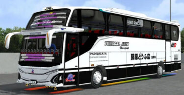 Mod Bussid Bus JB5 SHD Srikandi by MN Art x RPC