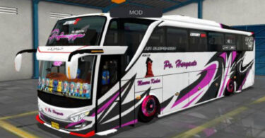 Mod Bus Jb2 Hino RK PO. Haryanto