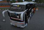 Mod Bus Pariwisata Mewah JB 5 Var Miyor Senopati Bussid
